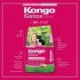 KONGO GATITOS  8 KG